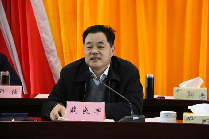 集團黨委委員、副總經(jīng)理、總工程師戴良軍發(fā)表講話